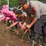 Perkuat Tanggul Sungai Brantas Porong, TNI-Polri Tanam Rumput Vetiver