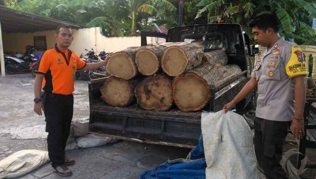 Gerebek Aksi Ilegal Logging, Petugas Gabungan Amankan Belasan Gelondong Kayu Jati