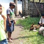 Heboh Kambing Mati Mendadak dengan Perut Kembung di Kota Probolinggo, Ternyata Ini Penyebabnya