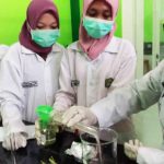 Makin Langka, Mahasiswa di Lamongan Ciptakan Hand Sanitizer Beraroma Serai