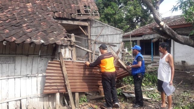 pohon natal unik 2020 Tertimpa Pohon Rumah Milik Warga Situbondo Rusak 