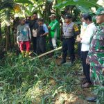 Pamit Mengarit, Lansia di Blitar Ditemukan Mati di Kolam Kotoran Sapi