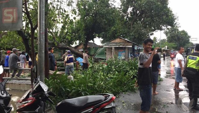 Disapu angin, Puluhan Rumah di Tiga dusun di Mojokerto Rusak