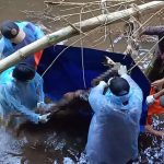 Nenek Pikun di Pasuruan Ditemukan Tewas di Sungai