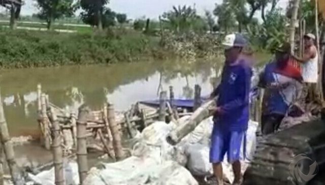 Cegah Banjir, Perbaikan Tanggul Jebol di Turi Lamongan Dikebut