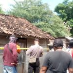 Heboh, Pedagang Sapi Tewas Mendadak di Pasar Hewan Situbondo