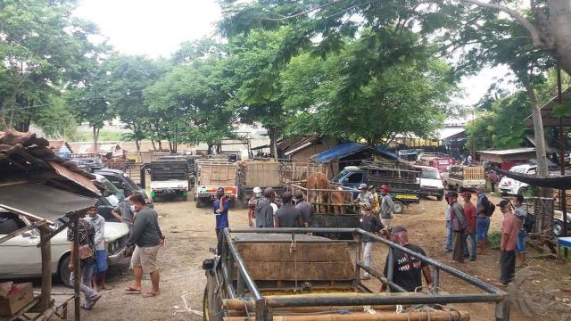 Dampak Covid-19, Pasar Hewan di Situbondo Sepi