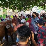 Gegara Corona, Operasional Pasar Sapi Wonoasih Kota Probolinggo Dibatasi