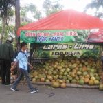 Diyakini Baik untuk Cegah Corona, Permintaan Degan di Lamongan Melonjak