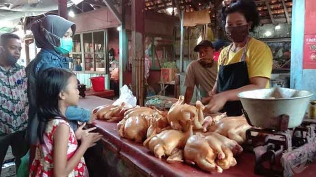 Sepi Pembeli Tapi Harga Daging Ayam Naik, Satgas Pangan Kota Probolinggo Diminta Turun