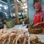 Jelang Lebaran, Harga Daging Ayam di Jember Melonjak