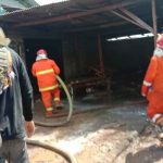 Gudang Pengolahan Kayu di Kota Probolinggo, Terbakar
