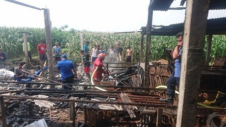 Teledor Bakar Sampah, Kandang Puyuh di Blitar Hangus Terbakar