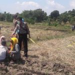 Gara-Gara Rumput, Pria di Situbondo Dibacok Tetangganya Hingga Tewas