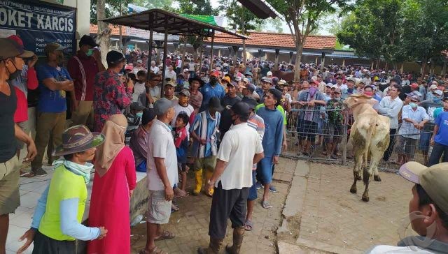 Sudah Ditutup, Pasar Hewan di Kota Probolinggo Tetap Beraktivitas