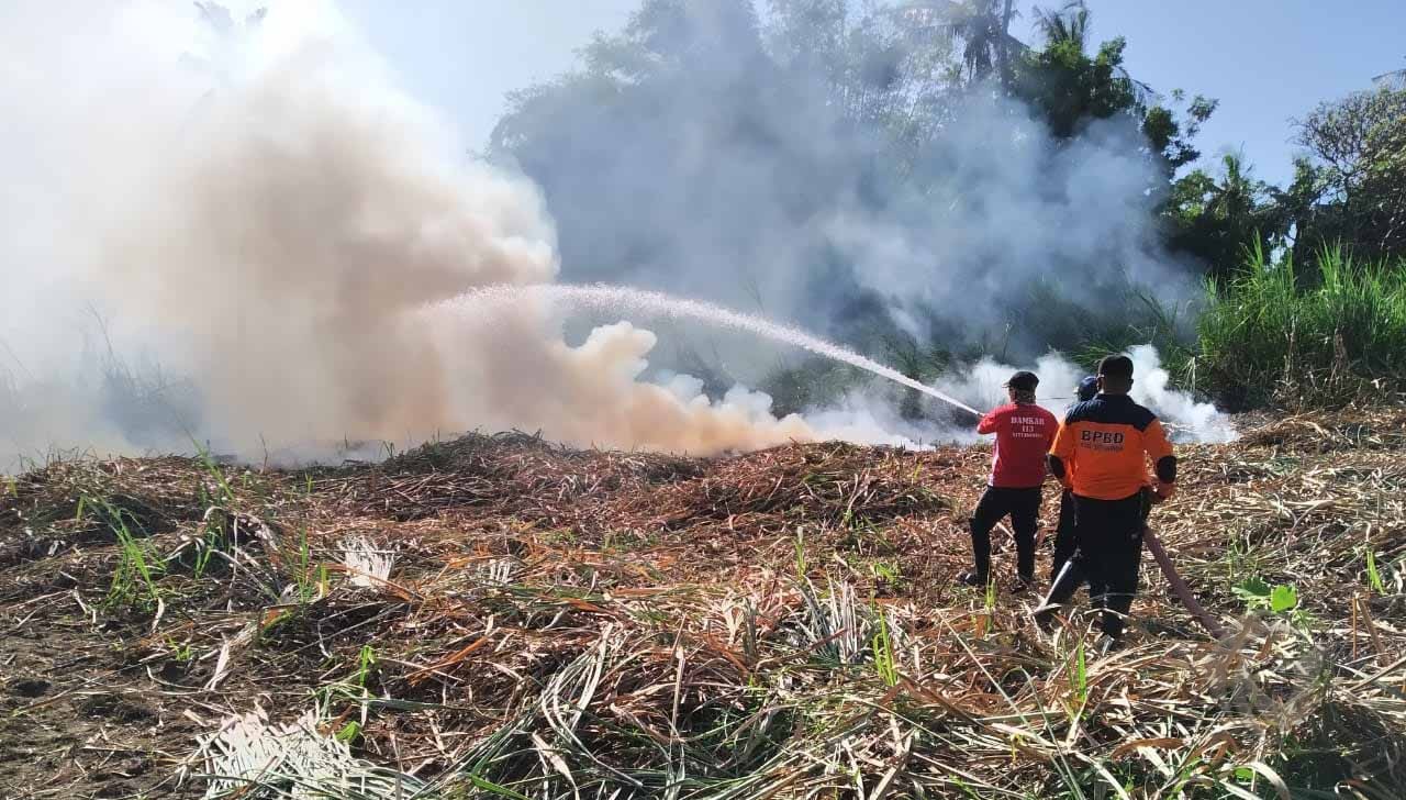 Dua Hektar Tebu di Situbondo Terbakar