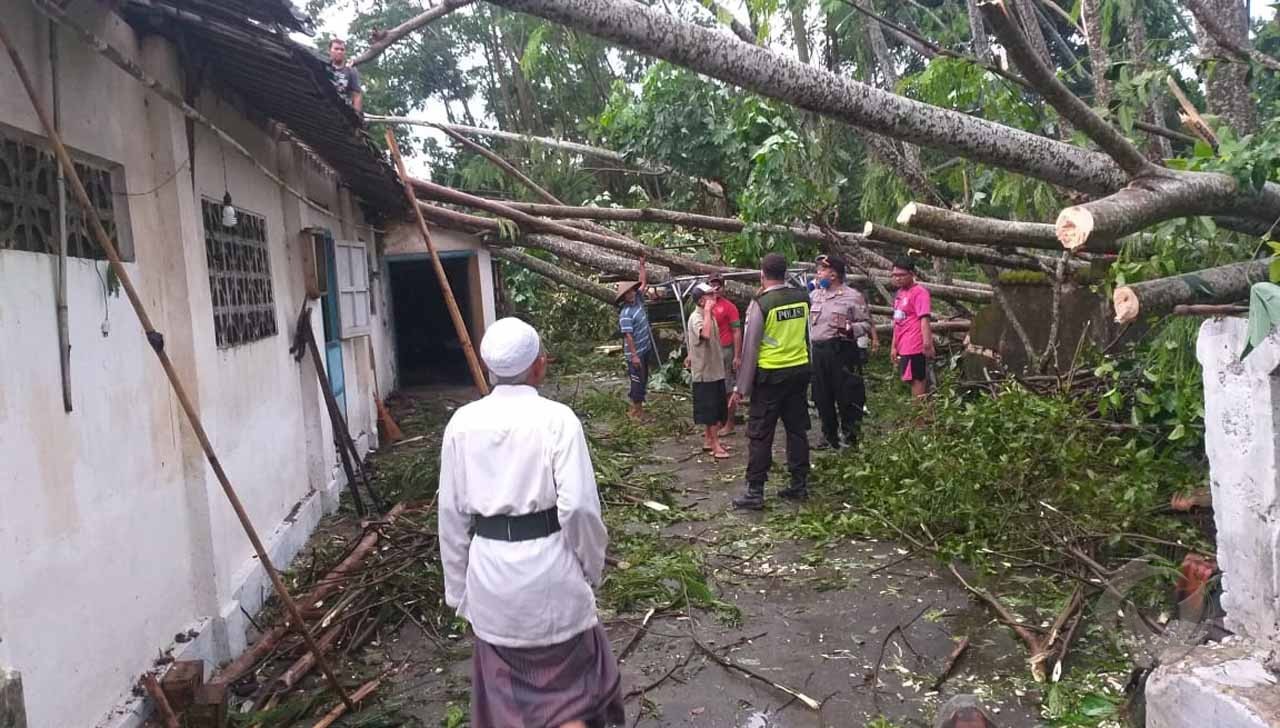 Dihantam Hujan dan Angin, Empat Rumah di Udanawu Blitar Rusak Tertimpa Pohon