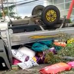 Pikap Grand Max Tiba-Tiba Terbalik di Taman Pembatas Jalan Jember