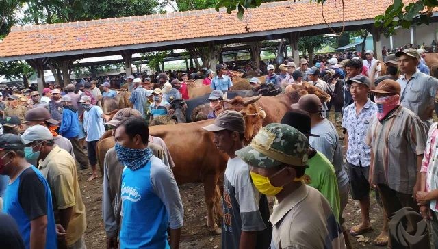 Ditutup Selama Pandemi, Pasar Ternak di Kota Probolinggo Siap Dibuka Lagi
