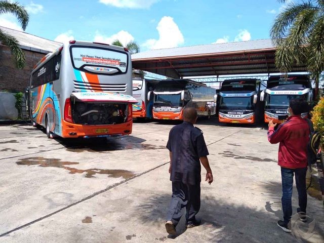 Meski Sudah Dibuka Sejak 28 Mei, Bus Jember-Bali Masih Sepi Penumpang