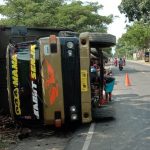 Truk Terguling di Jalur Pantura Situbondo, Muatan Tebu Berserakan di Jalan