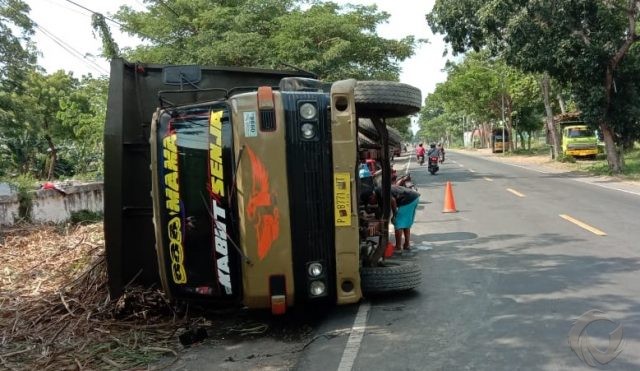 Truk Terguling di Jalur Pantura Situbondo, Muatan Tebu Berserakan di Jalan