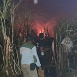 Tanaman Tebu 2 Hektare di Situbondo Ludes Terbakar, Kerugian Rp 30 Juta