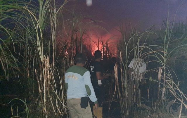 Tanaman Tebu 2 Hektare di Situbondo Ludes Terbakar, Kerugian Rp 30 Juta