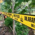 Heboh Mayat Lelaki Ditemukan di Ladang Jagung Blitar dengan Leher Terikat