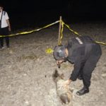 Temuan Mortir di Sungai Brantas Tulungagung, Dievakuasi Brimob Kediri