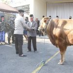 Hewan Kurban Kapolda Jatim Diserahkan Kapolres Ngawi ke Penerima