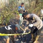 Heboh, Tengkorak dan Tulang Belulang Manusia Ditemukan di Hutan Baluran Situbondo
