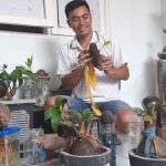 Kreatif, Anggota Polri di Lamongan Sukses Produksi Bonsai Kelapa