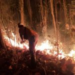 Diduga Akibat Puntung Rokok, Lima Hektar Hutan Jati di Situbondo Terbakar