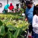 Video: Menengok Indahnya Kebun Bunga di Pinggiran Kota Jember