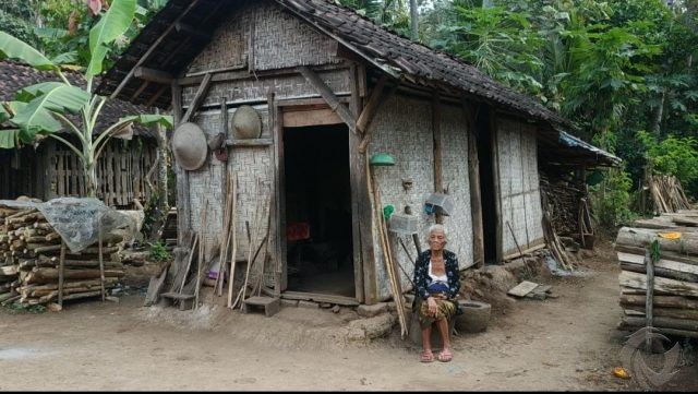 Hidup Sebatang Kara di Gubuk Reot, Seorang Nenek di Blitar Tak Tersentuh Bantuan Pemerintah