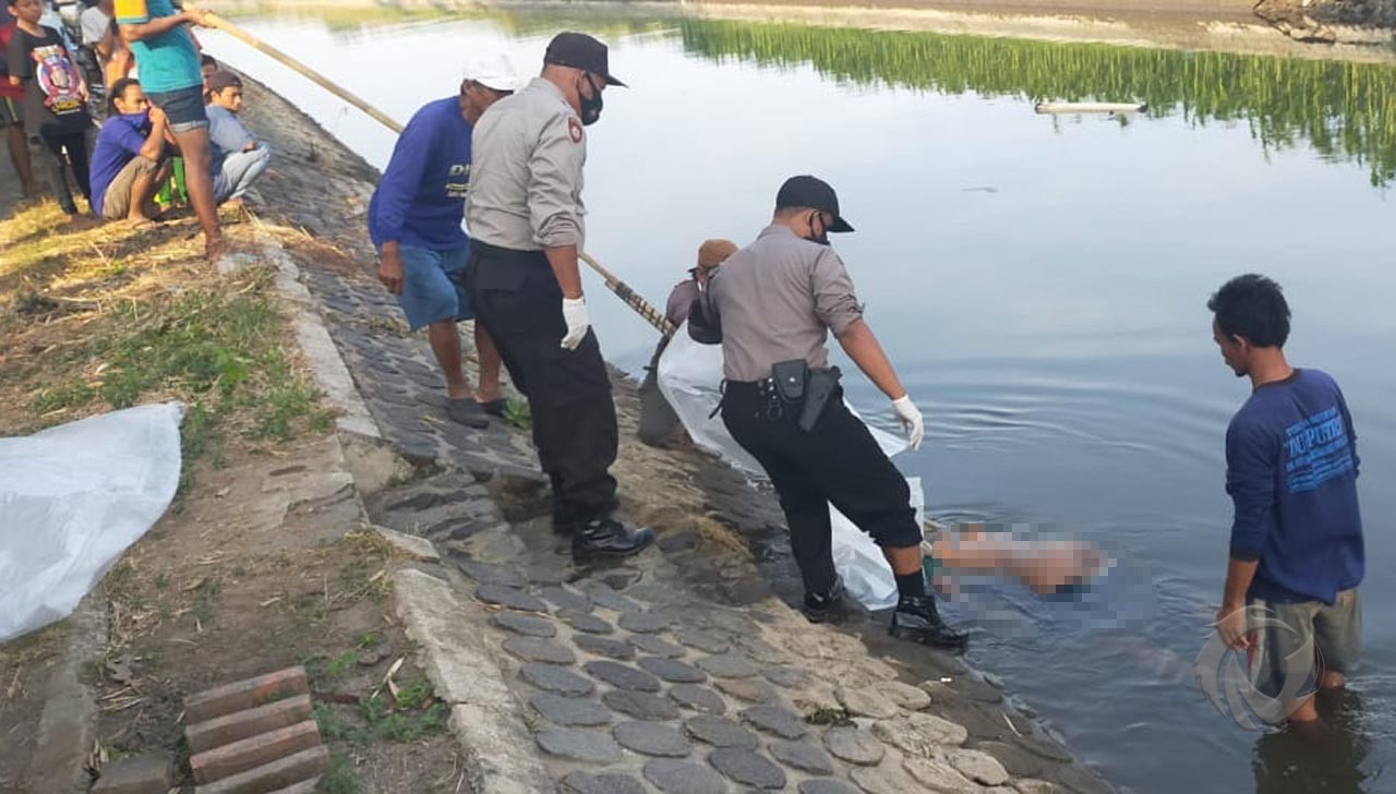 Mayat Perempuan Berkaus Jokowi Mengambang di Anak Sungai Brantas Jombang