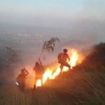 Padang Rumput di Kawasan Gunung Penanggungan Mojokerto Terbakar
