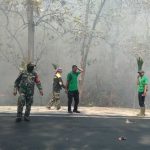 6 Hektare Hutan Jati di Taman Nasional Baluran Terbakar