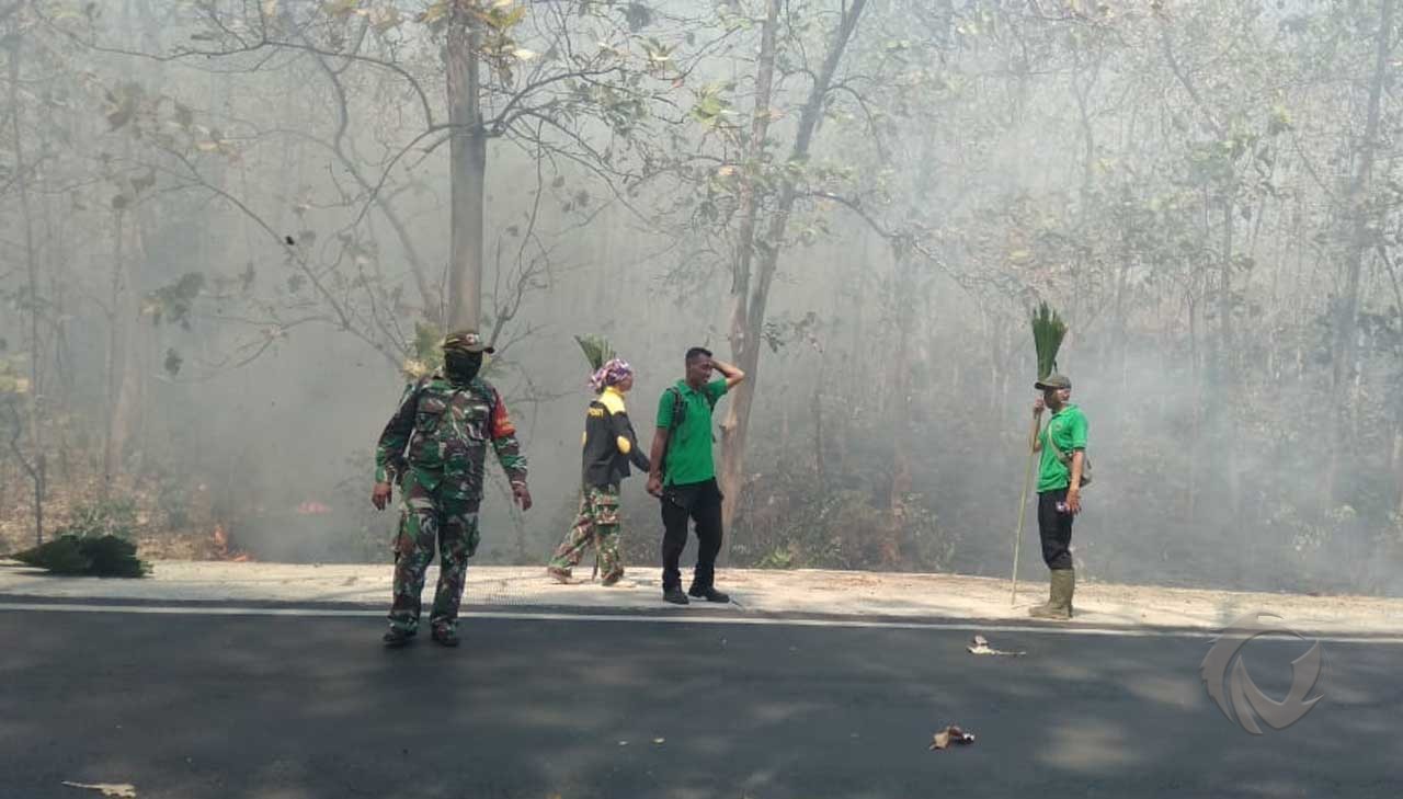 6 Hektare Hutan Jati di Taman Nasional Baluran Terbakar