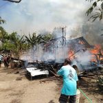 Ditinggal Cari Pasir, Rumah dan Kandang Sapi di Situbondo Ludes Terbakar