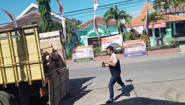 Kepergok Petugas, Sopir dan Truk Bermuatan Kayu Sonokeling di Situbondo Diamankan
