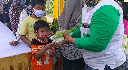 Protes Ketiadaan Pupuk Subsidi dan Rendahnya Harga Sayuran, Petani Jember Bagi-bagi Sayuran