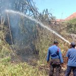 Barongan Dekat Rumah Warga Kota Probolinggo Terbakar, Satu Damkar Diterjunkan