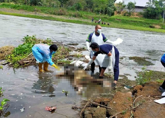 Mayat Pria Ber-KTP Bali Tertelungkup di Tepi Sungai Brantas Tulungagung