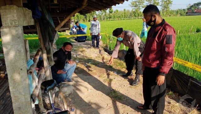 Seorang Petani di Ngawi Ditemukan Tewas di Sawahnya