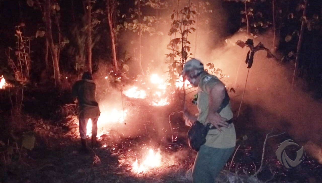 Kebakaran hutan baluran (TNB)