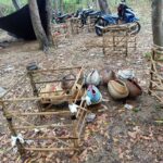Judi Sabung Ayam di Sumenep Digerebek Polisi, Penjudi Berhamburan Lari ke Hutan