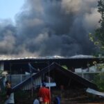 Diduga Korsleting Listrik, Pabrik Pemotongan Ayam di Jombang Terbakar