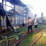 Kandang Ayam di Blitar Terbakar, Ribuan Anak Ayam Terpanggang